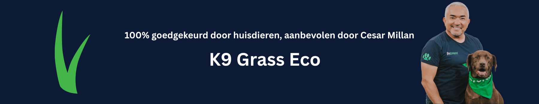 Honden Kunstgras