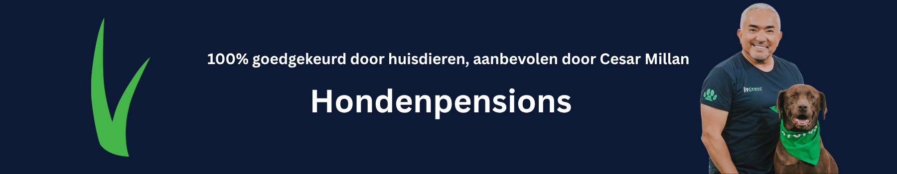 Kunstgras hondenkennel