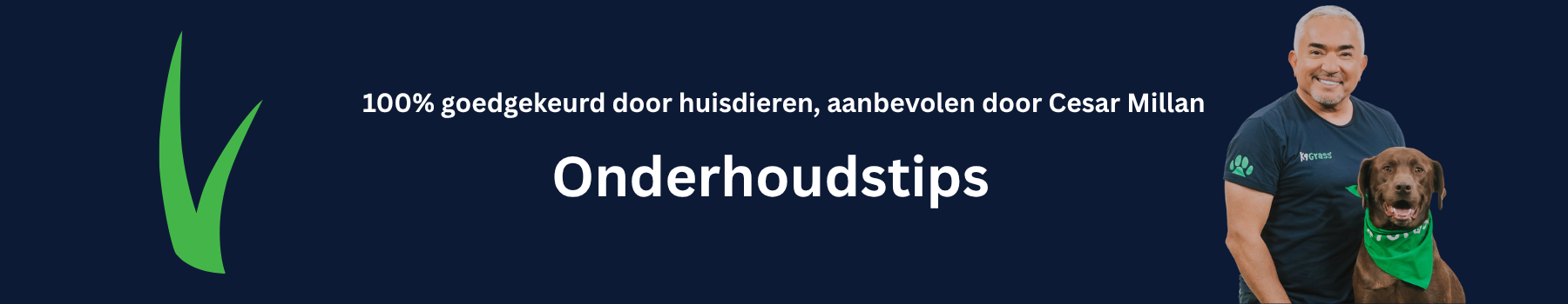 Onderhoud van kunstgras