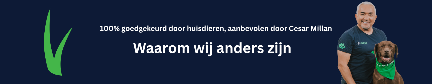 Waarom wij anders zijn