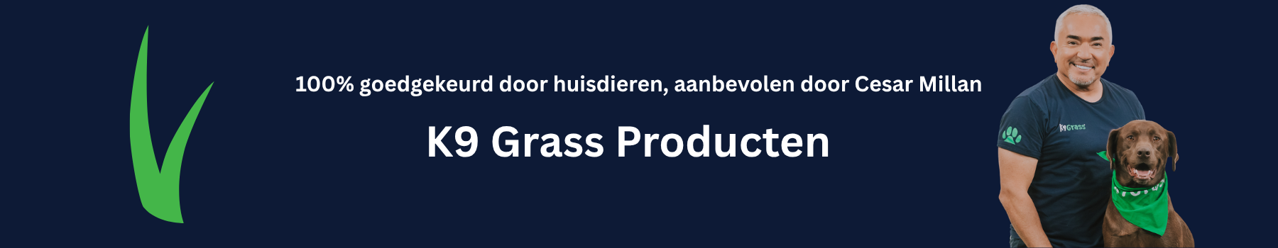 kunstgras geschikt voor honden